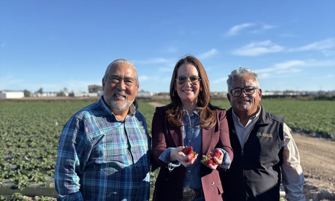 A.G. Kawamura and Mark Lopez with U.S. Secretary of Agriculture Brooke L. Rollins holding freshly picked strawberries