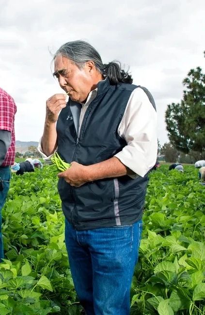 A.G. Kawamura inspecting green beans in the field during harvest