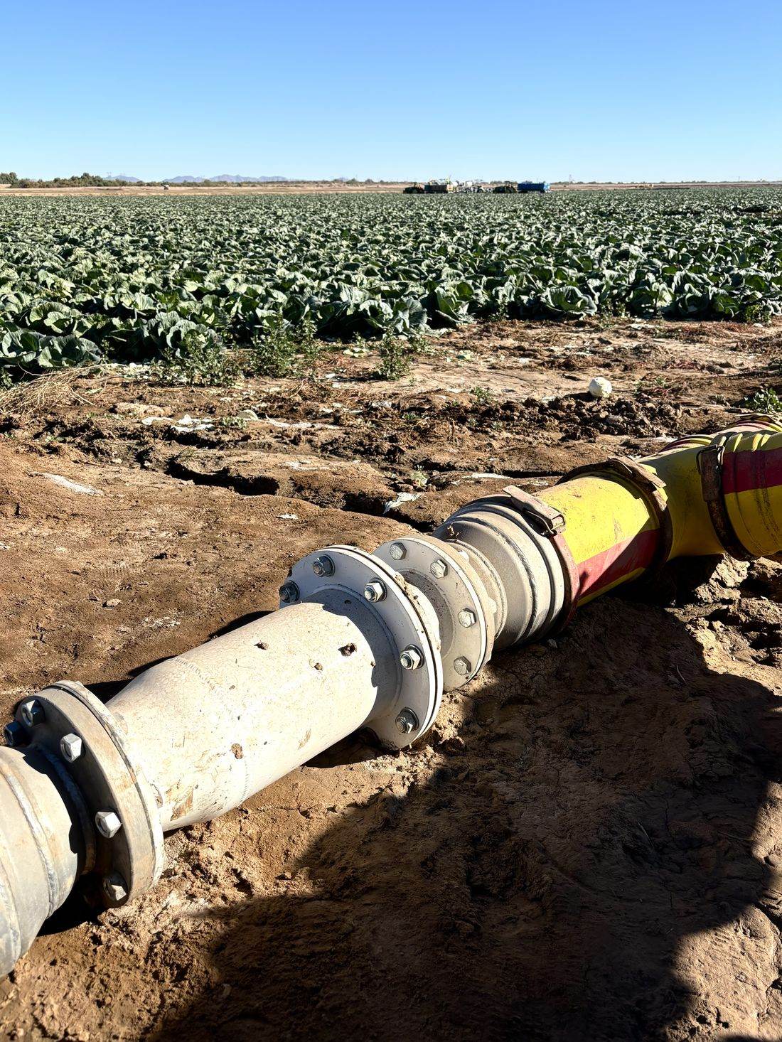 Vorterra unit on an irrigation supply line beside a commercial brassica field in Yuma, Arizona