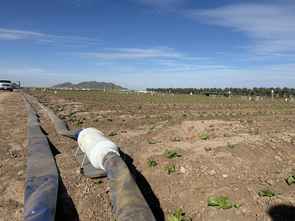 Wide view of the Vorterra unit on the irrigation mainline at K3 Field